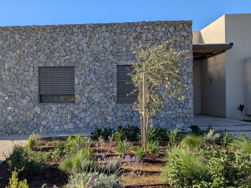 -2702263- אבן לקט סרדיניה גריי