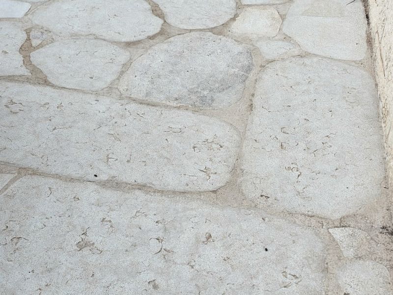 -13/01- אבני מדרך דותן עתיק