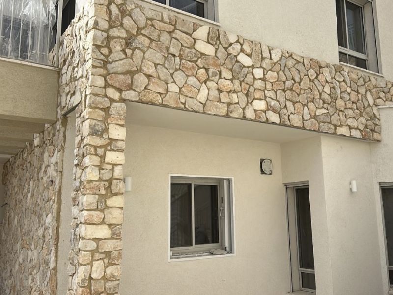 1202269 - אבן לקט יהודה אמורפי