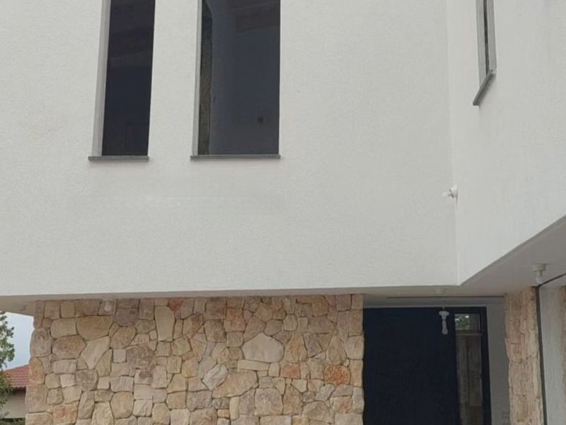 -126- אבן לקט יהודה פראית